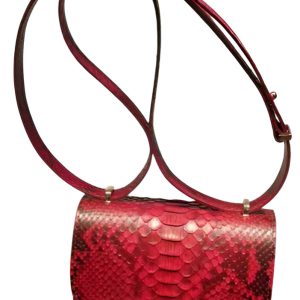small shoulder bag python 1